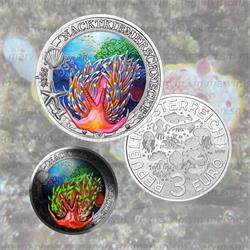 3 euro - Nudibranco - Austria - 2025 - FDC