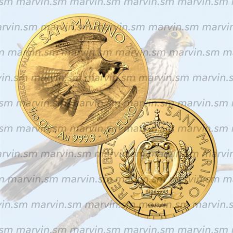  10 euro - Falco Pellegrino - San Marino - 2024 - 1/10 OZ - Oro FDC 