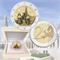  2017 - Vaticano - 2 € FS 