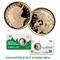5 euro - State General Accounting Office - Italy - 2019 - AG BU  in Euro Coins