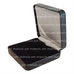 Case - Peregrine Falcon - San Marino - 2025 - AG BU